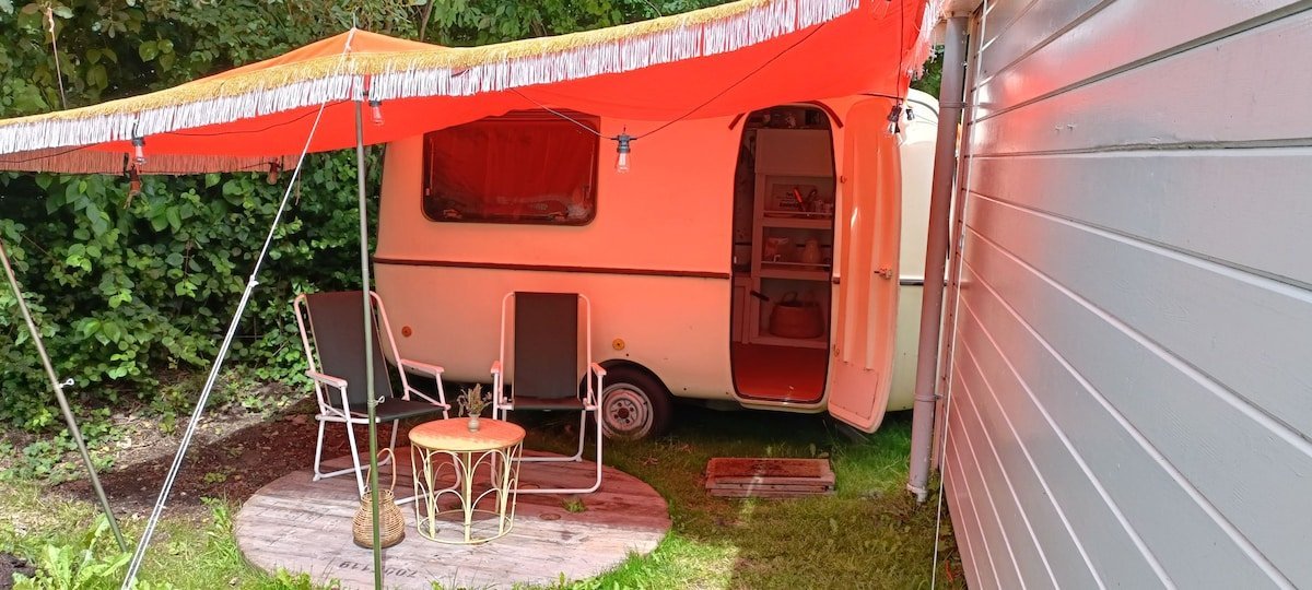 Winterwarme caravan in Baflo voor slechts €45 per nacht